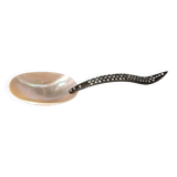 Shell spoons Indonesia nineteenth