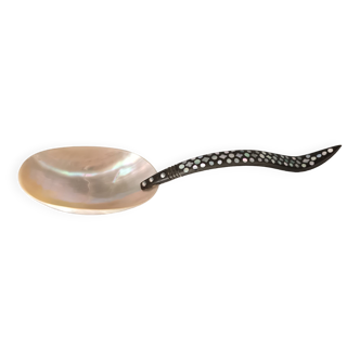 Shell spoons Indonesia nineteenth