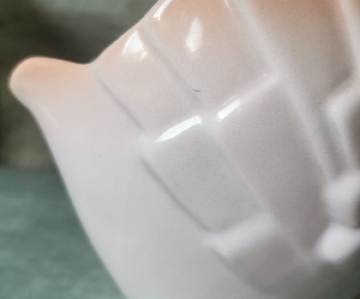 Swan Rigon Roberto Italy