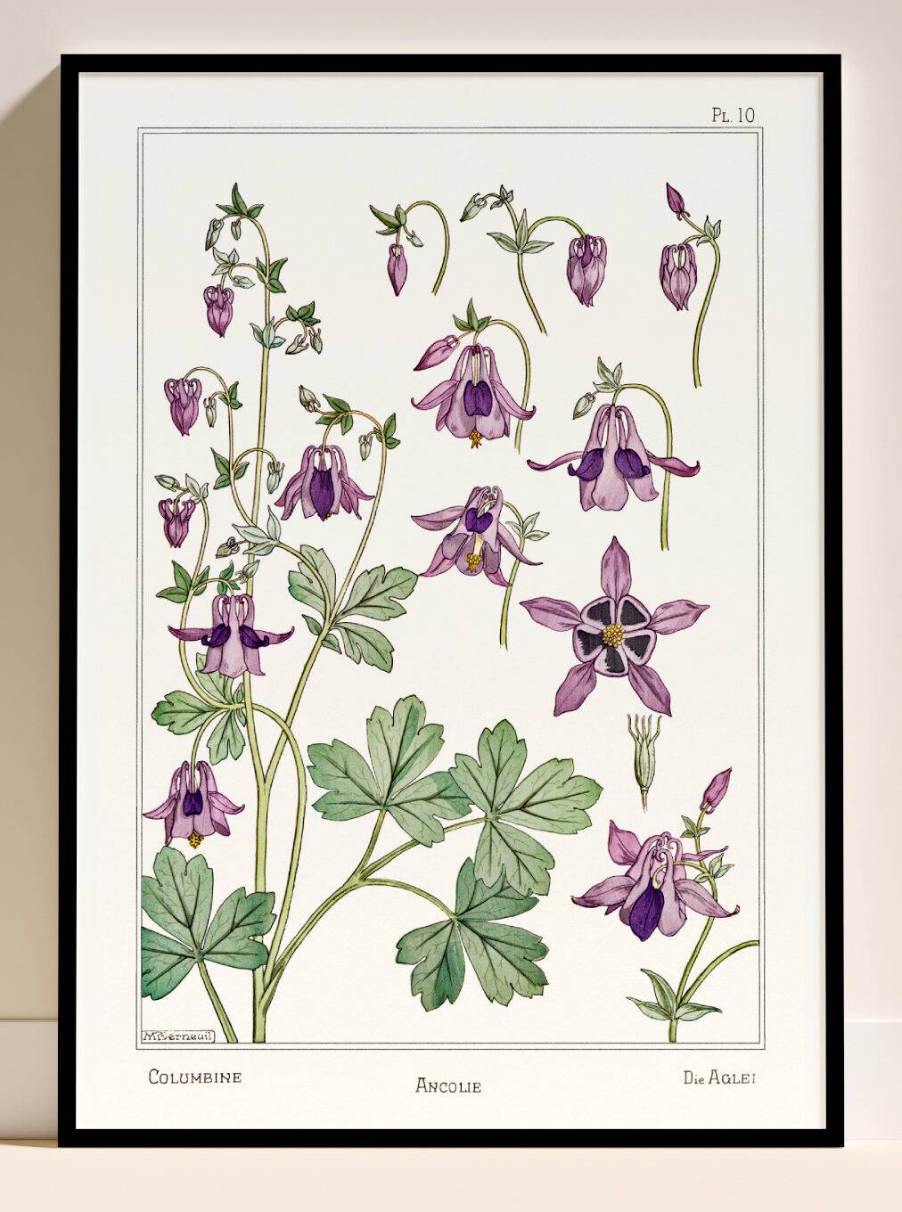 Affiche “Ancolie – Columbine”, d’après une lithographie art nouveau de 1897