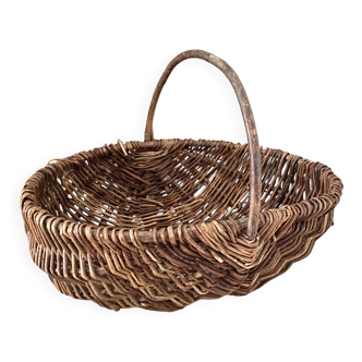 Foraging basket