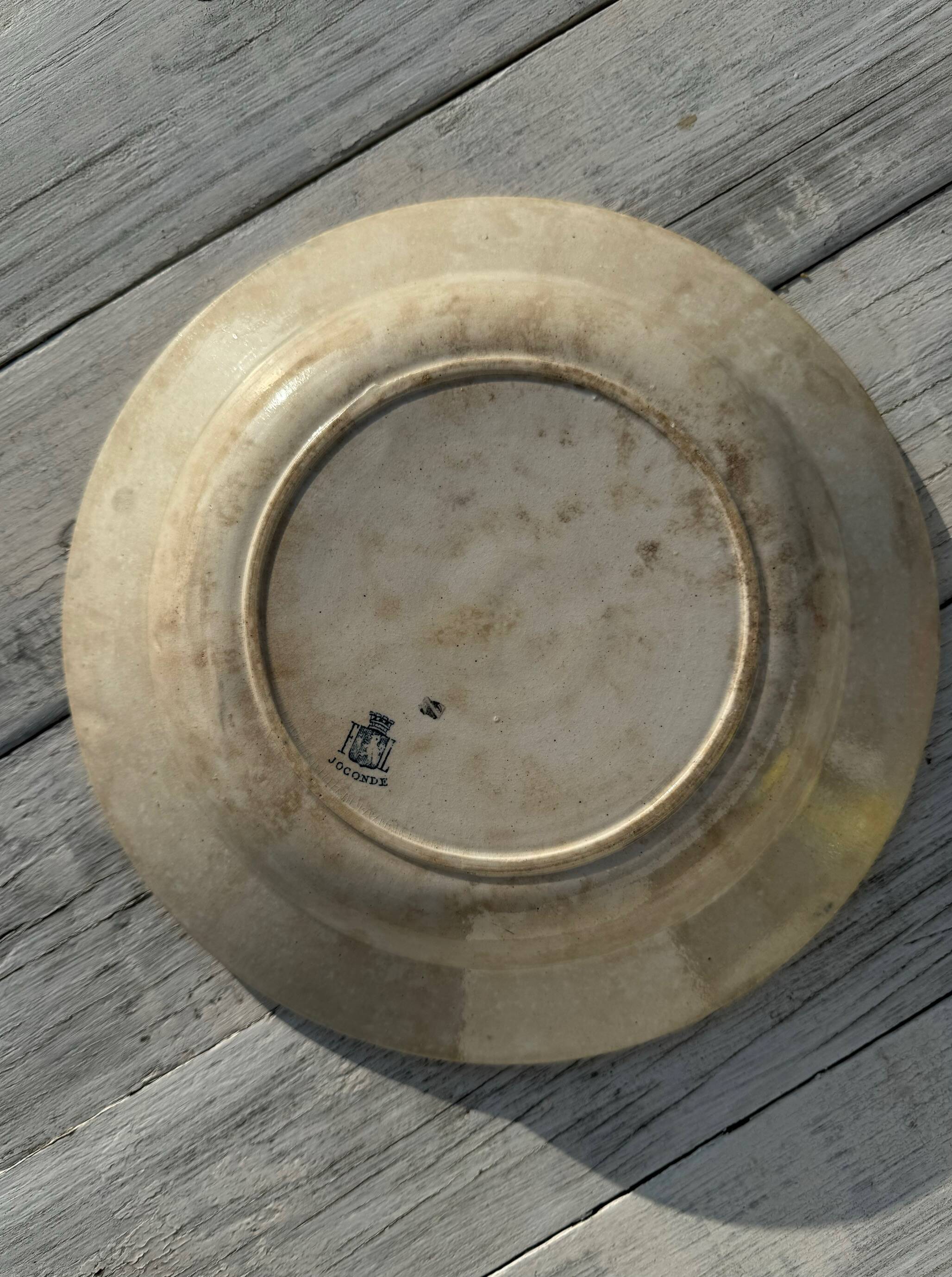 Shallow dish from Lyon faience