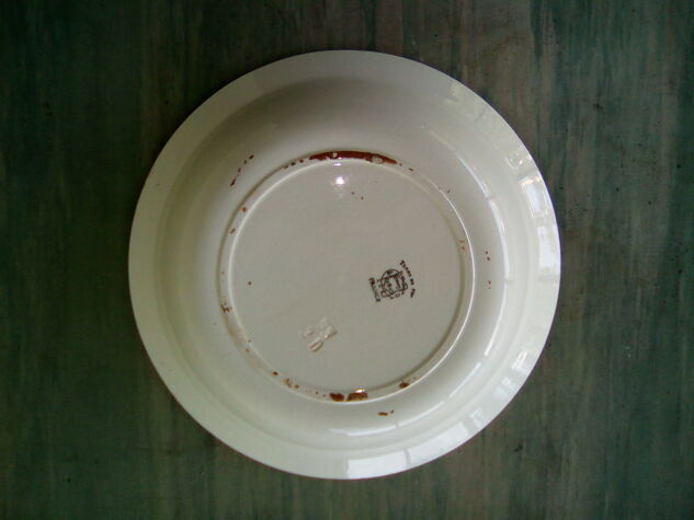 Plat rond terre de fer choisy le roi
