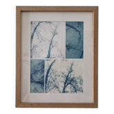 Wall-mounted collage cyanotype photograph