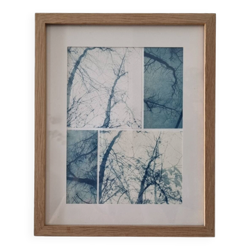 Wall-mounted collage cyanotype photograph
