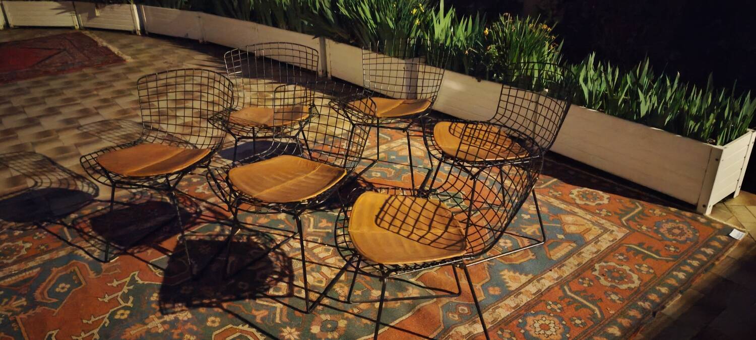 6 chaises Wire Harry Bertoia noires