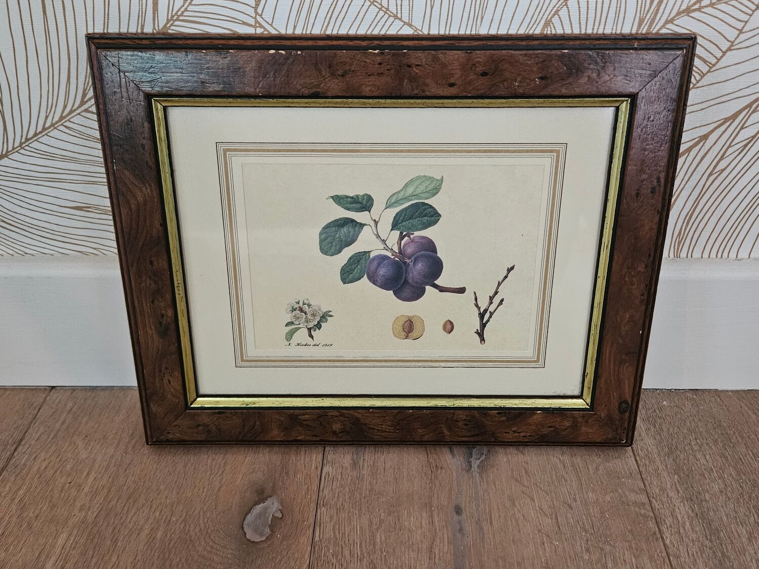 Plum tree botanical board under wooden frame