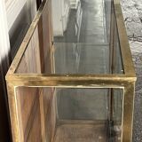 Brass display case from the house of william paris xi