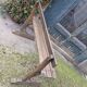 Antique wooden bench, France 19th century