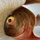 Ceramic fish "limoges"
