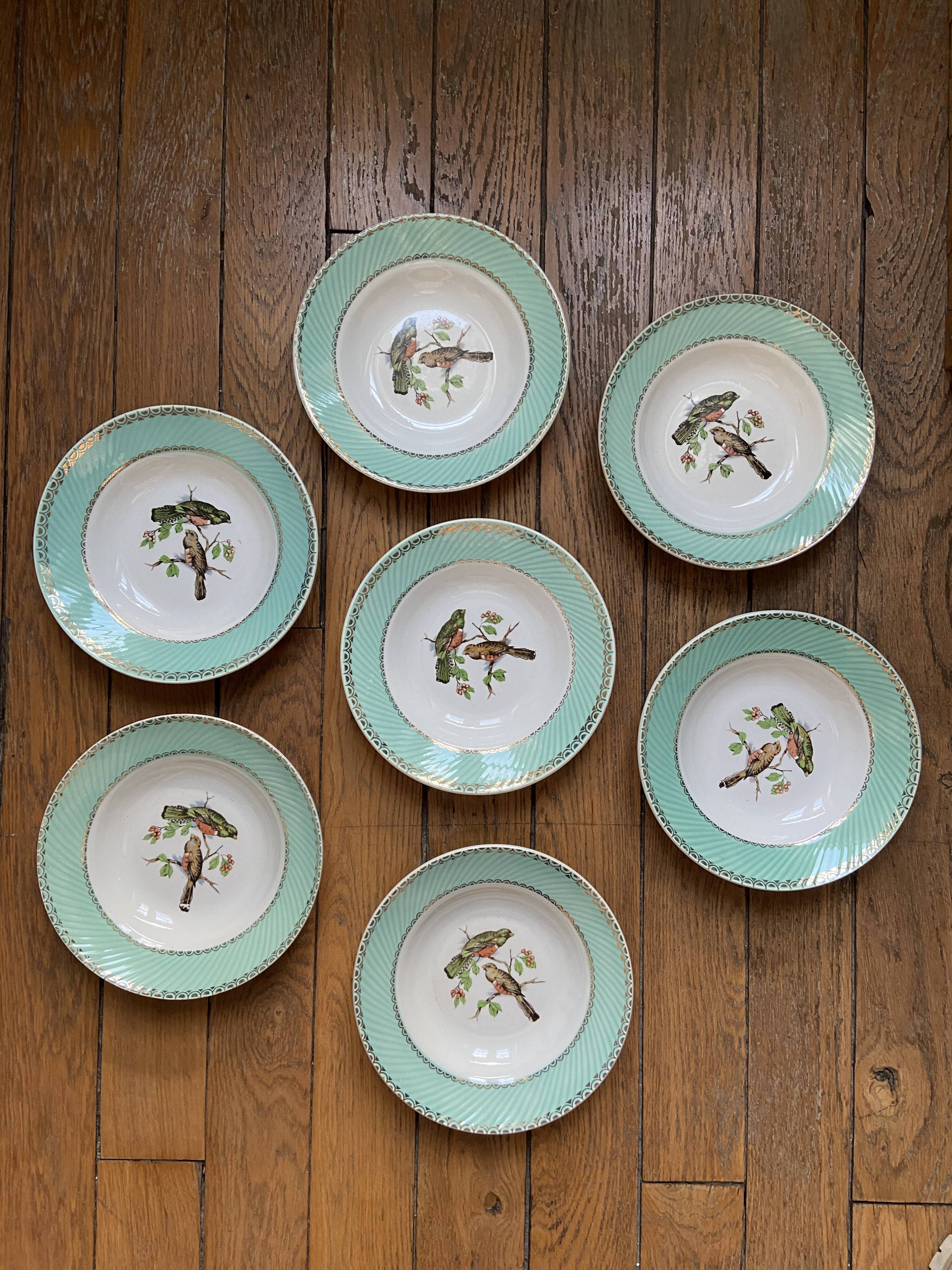 Set of 7 deep plates, turquoise rim and bird pattern.