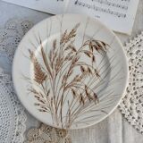 Assiette plate ancienne Ironstone England motif blé