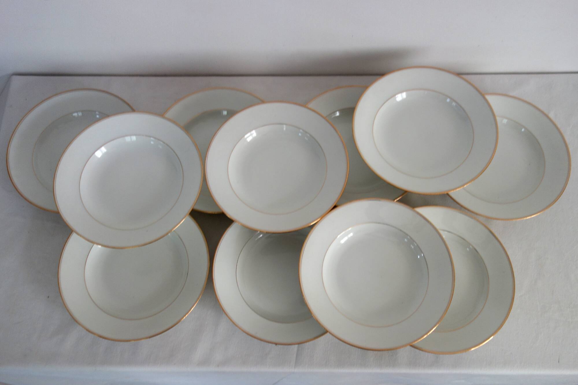 Set of 11 Limoges porcelain soup plates