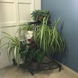 Old florist shelf door metal plants