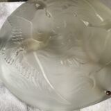 Suspension cva shortbread glass