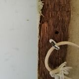 Still life with daisies and flowers in vase