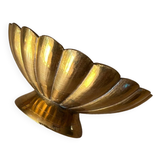 Golden shell tidy