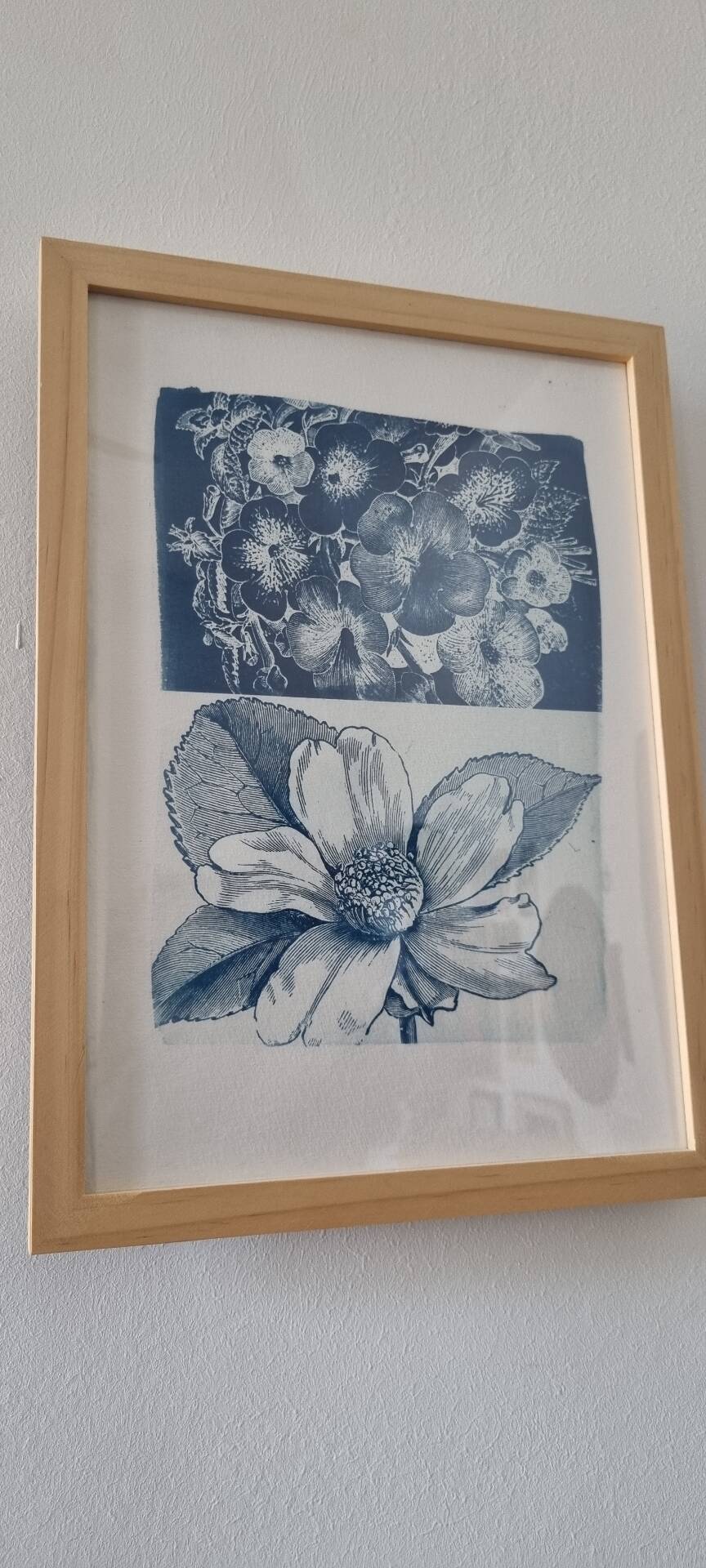 Framed botanical cyanotype wall decor