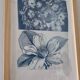 Framed botanical cyanotype wall decor