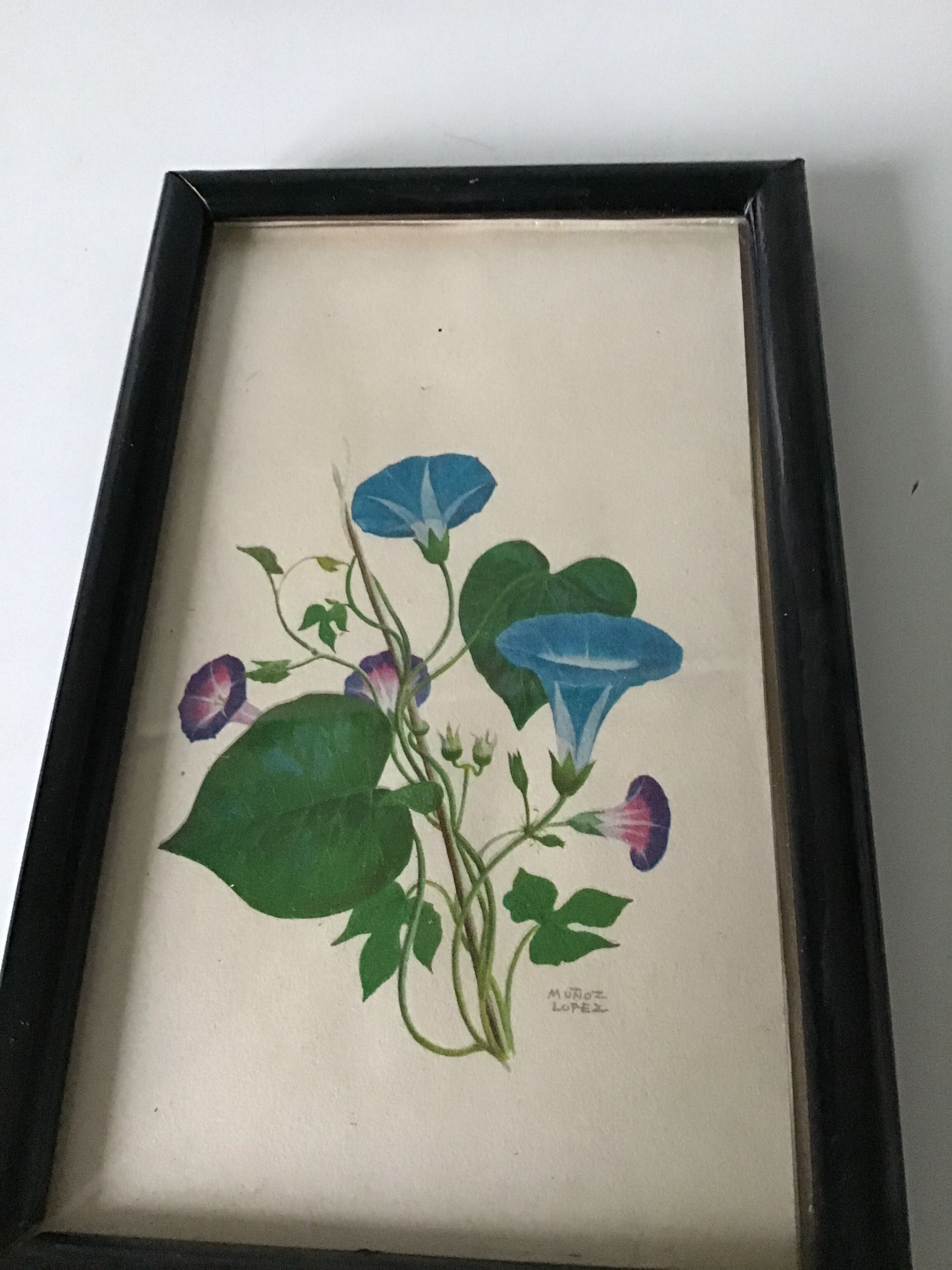 Série de petits cadres en bois avec des gravures anciennes signées de fleurs champetres