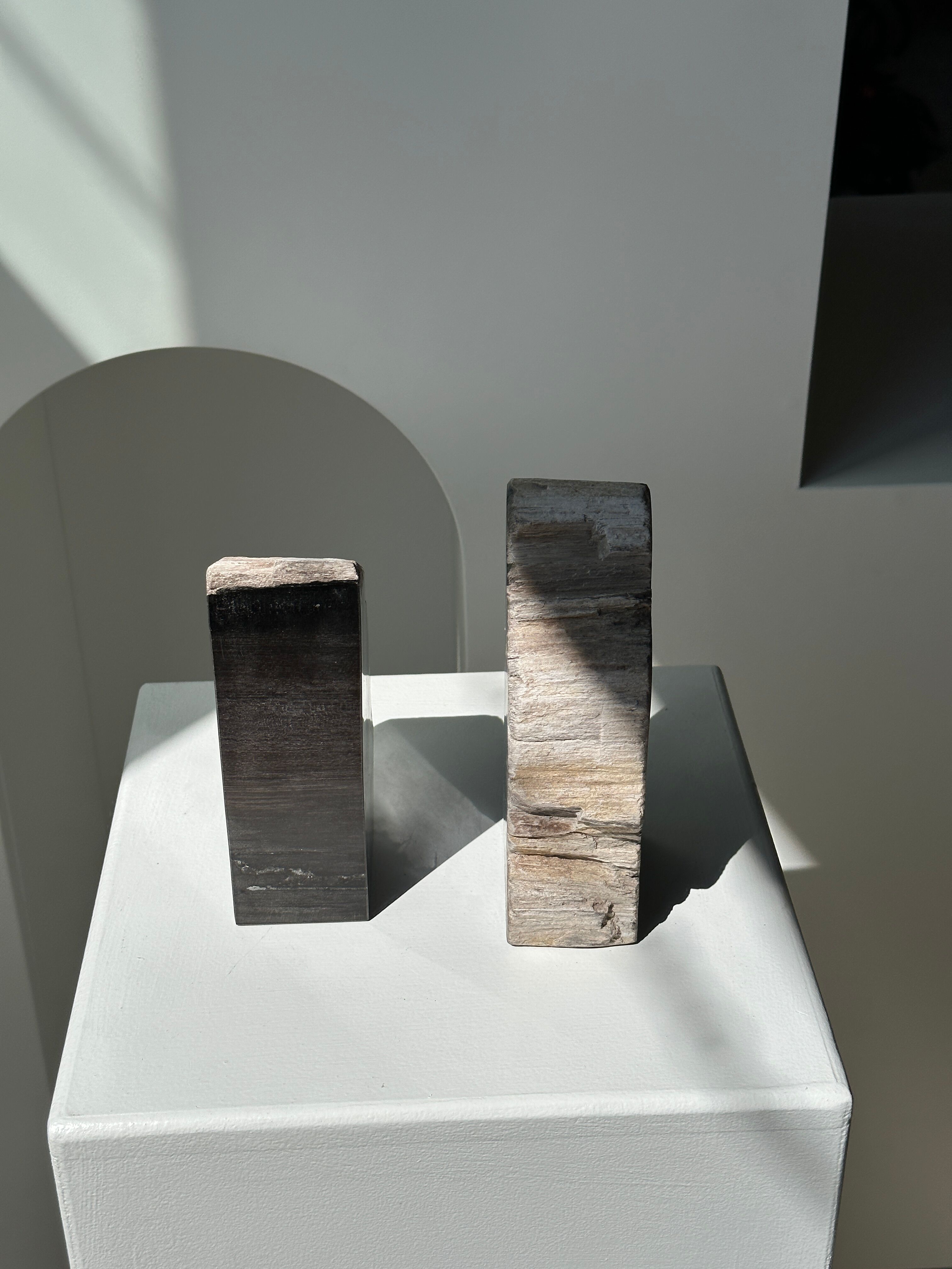 Black petrified wood bookend H17 L17 P6
