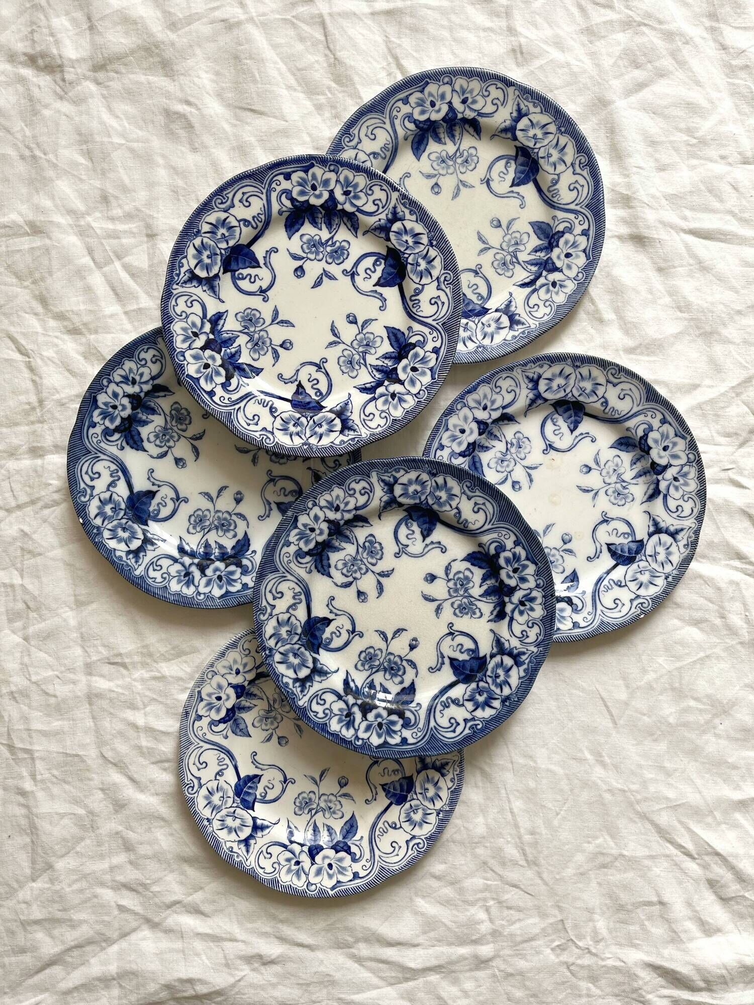 6 dessert plates in iron earth Flora, Creil and Montereau late nineteenth