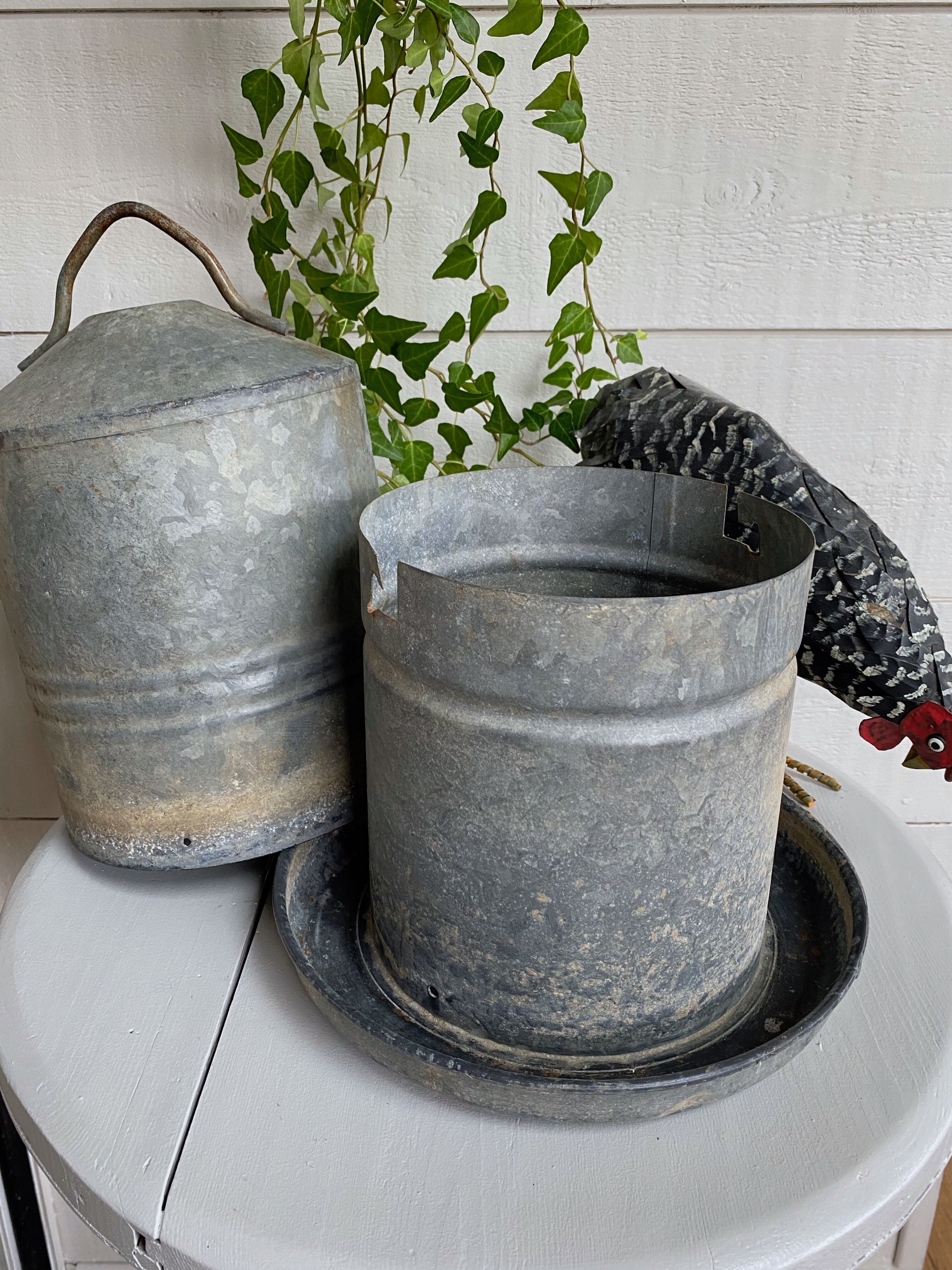 Zinc bird drinker