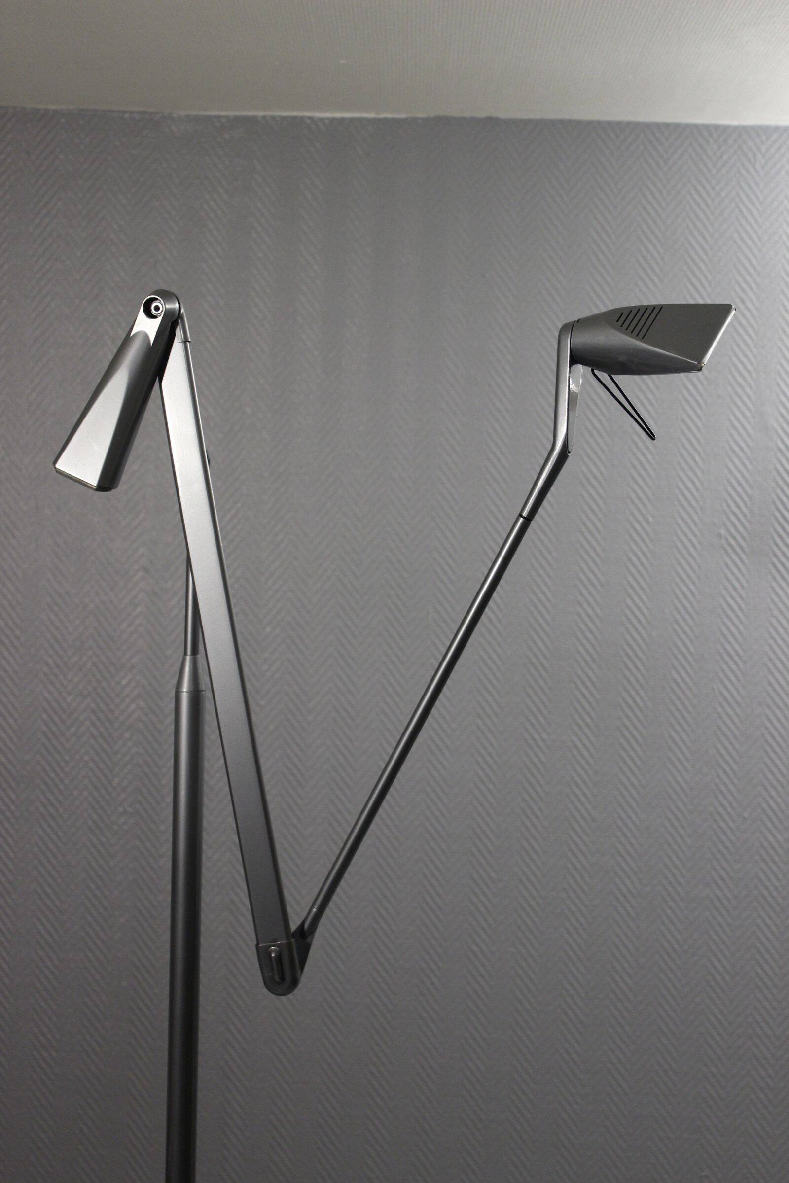 Zelig Terra floor lamp designed by Walter Monici for Lumina, 1980s