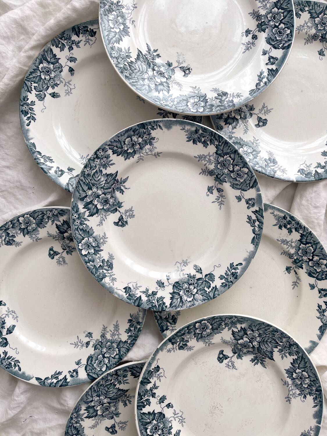 8 flat ironstone plates “Marie Louise” Saint Amand and Hamage