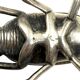 Silver insect shaped ashtray / box, France 1950s