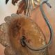 Pair of lily flower sconces in gilded metal design 60s
