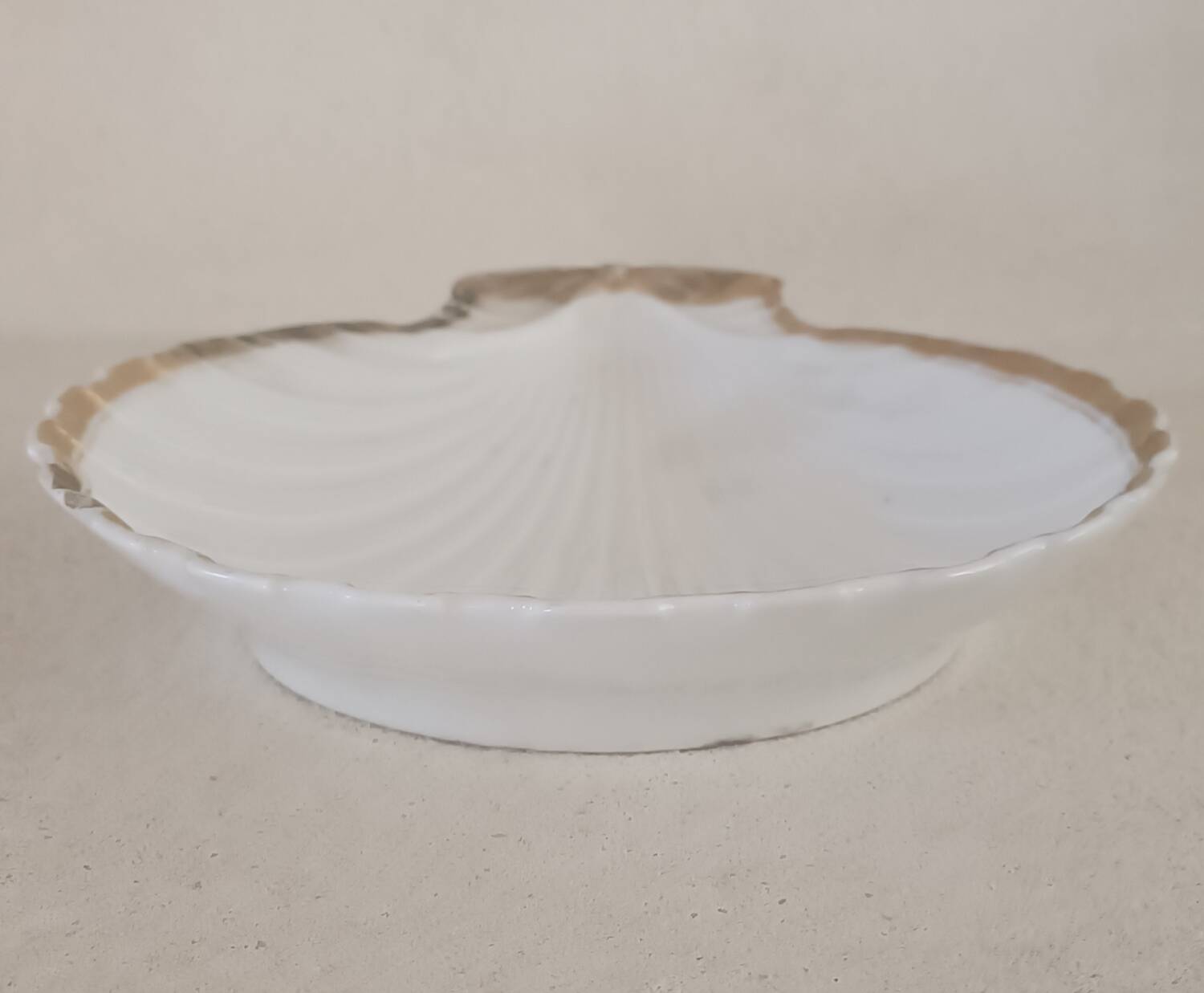 Shell-shaped bowl in Paris porcelain