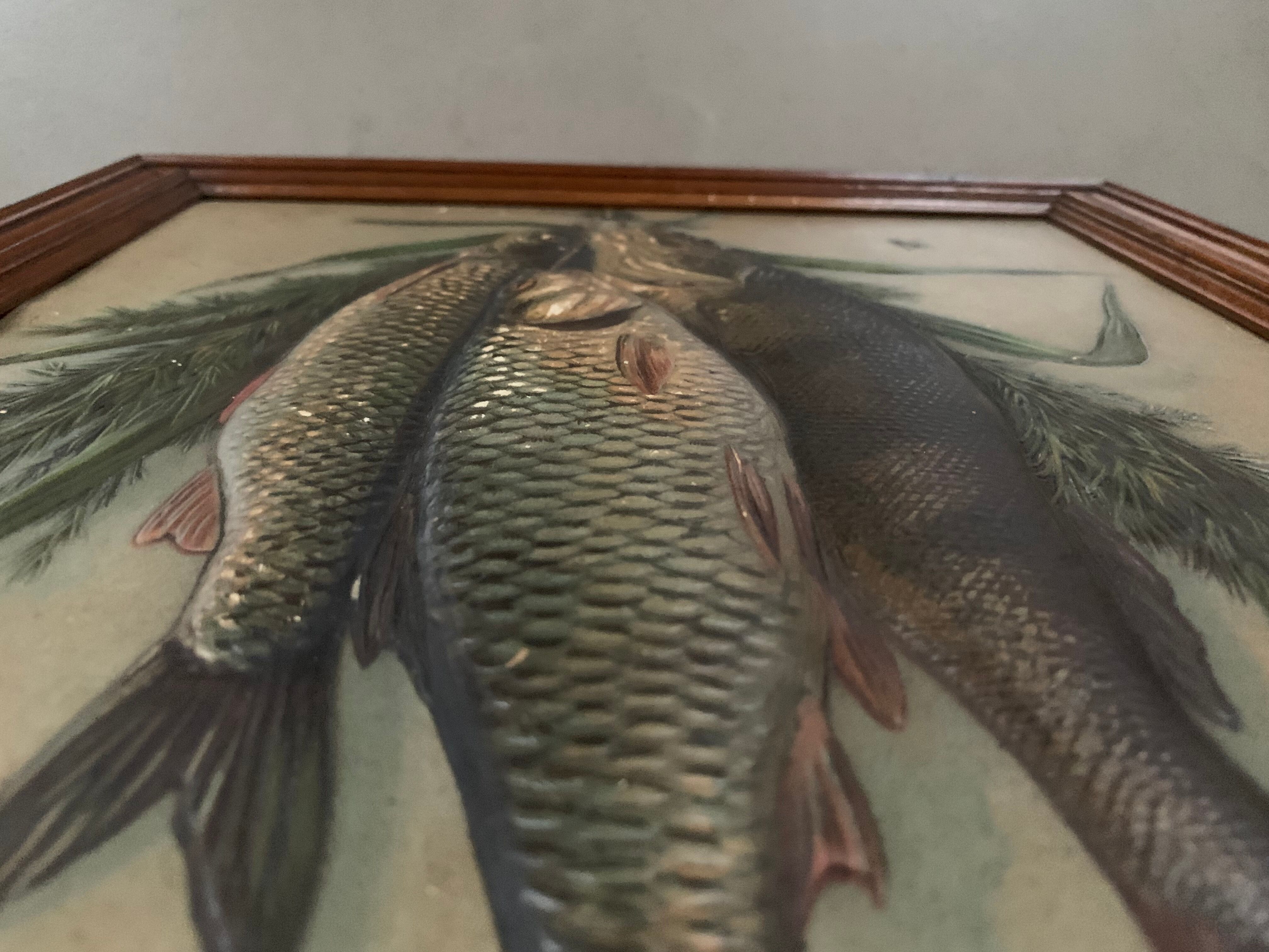 Still life, old fish trophy table