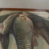 Still life, old fish trophy table