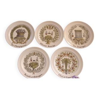 Ensemble de 5 assiettes à dessert à décor végétal Porcelaine de Limoges. P.C.V