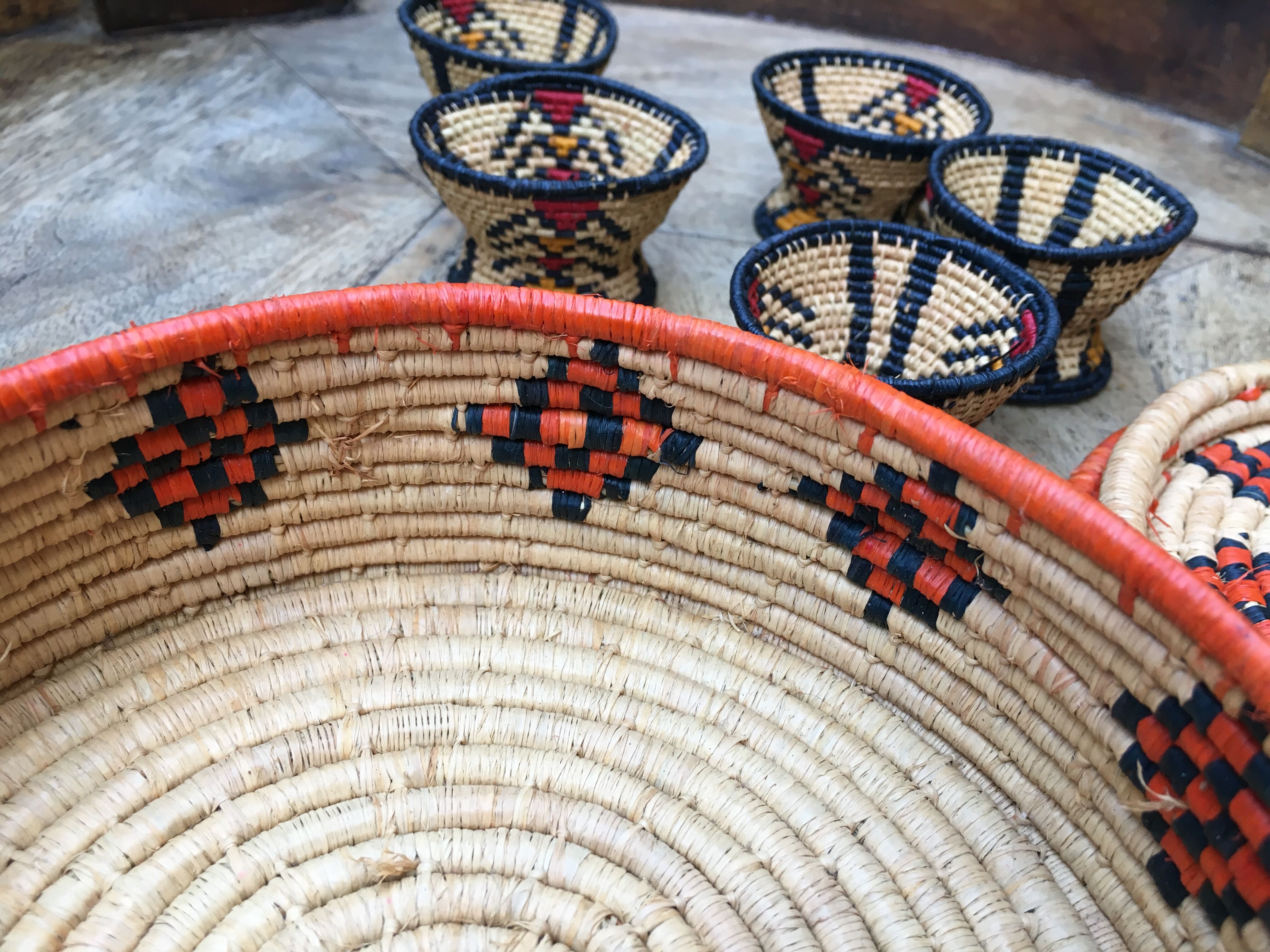 African lidbox and raffia cockroaches