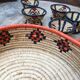 African lidbox and raffia cockroaches