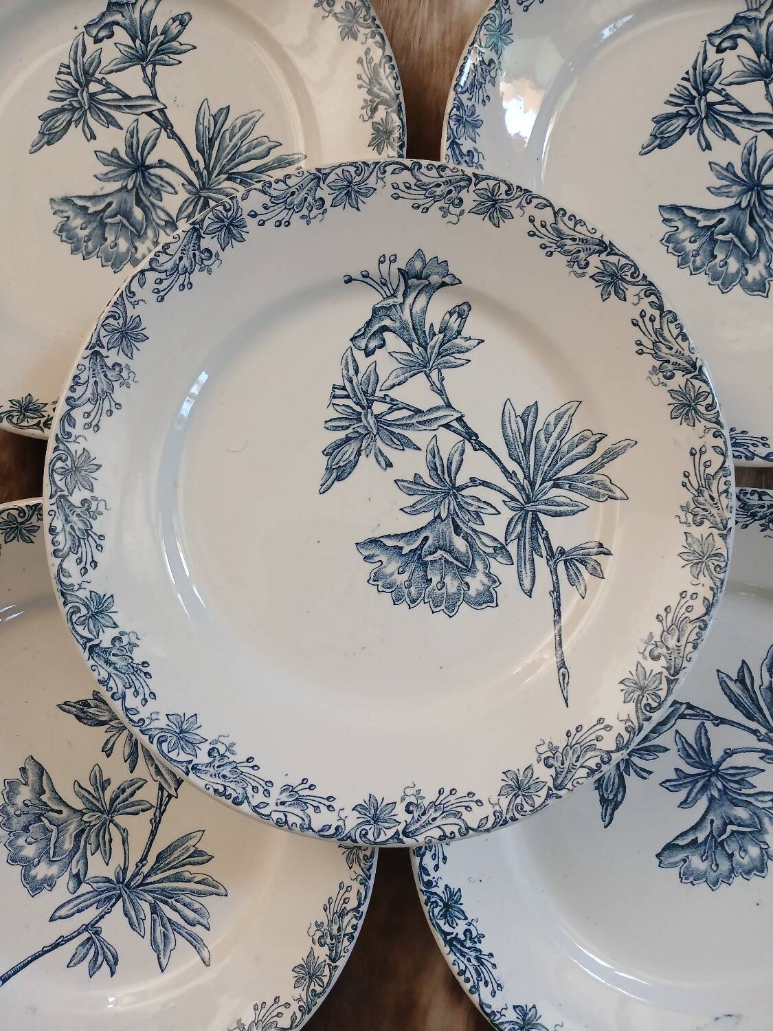 11 antique ironstone plates "Flora"