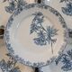 11 antique ironstone plates "Flora"
