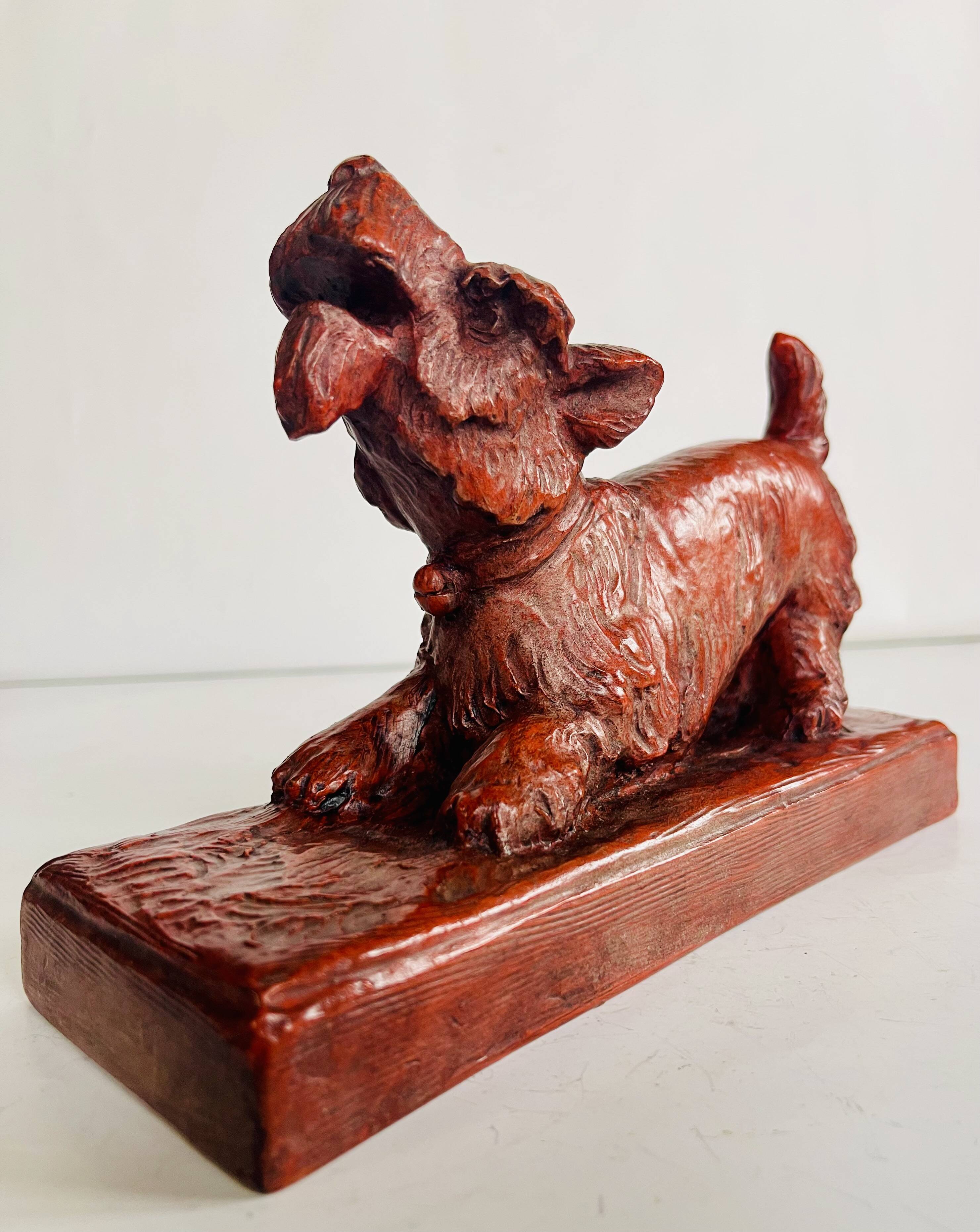 Cooked head dog