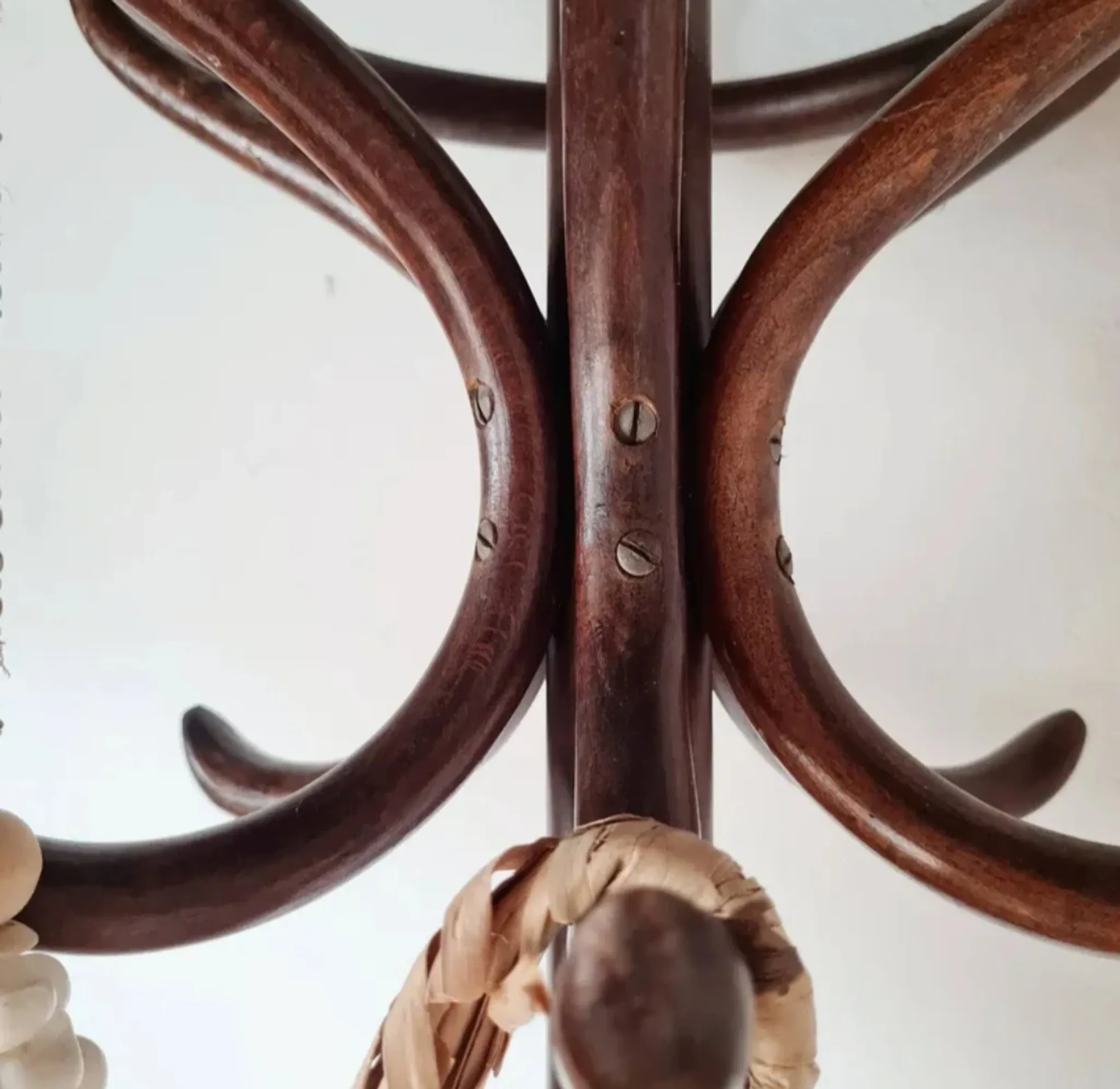 Antique curved wooden coat rack in the Thonet style, 1875.