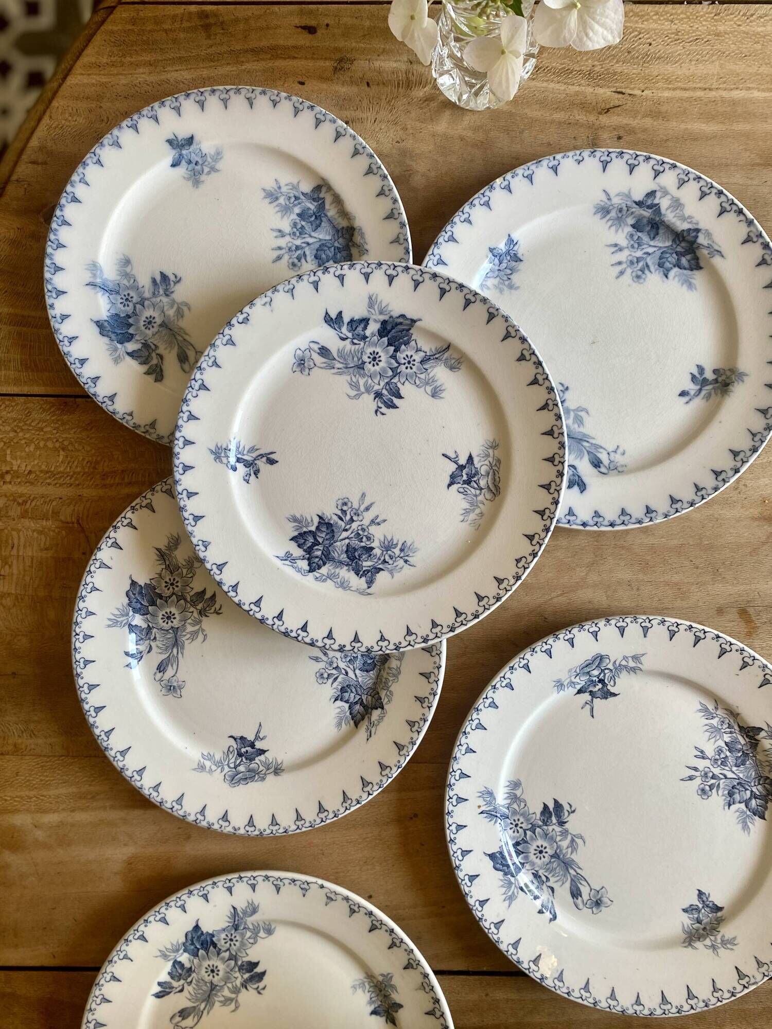Set of 6 old dessert plates - Flore de Sarreguemines