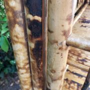 Etagère bambou pliable