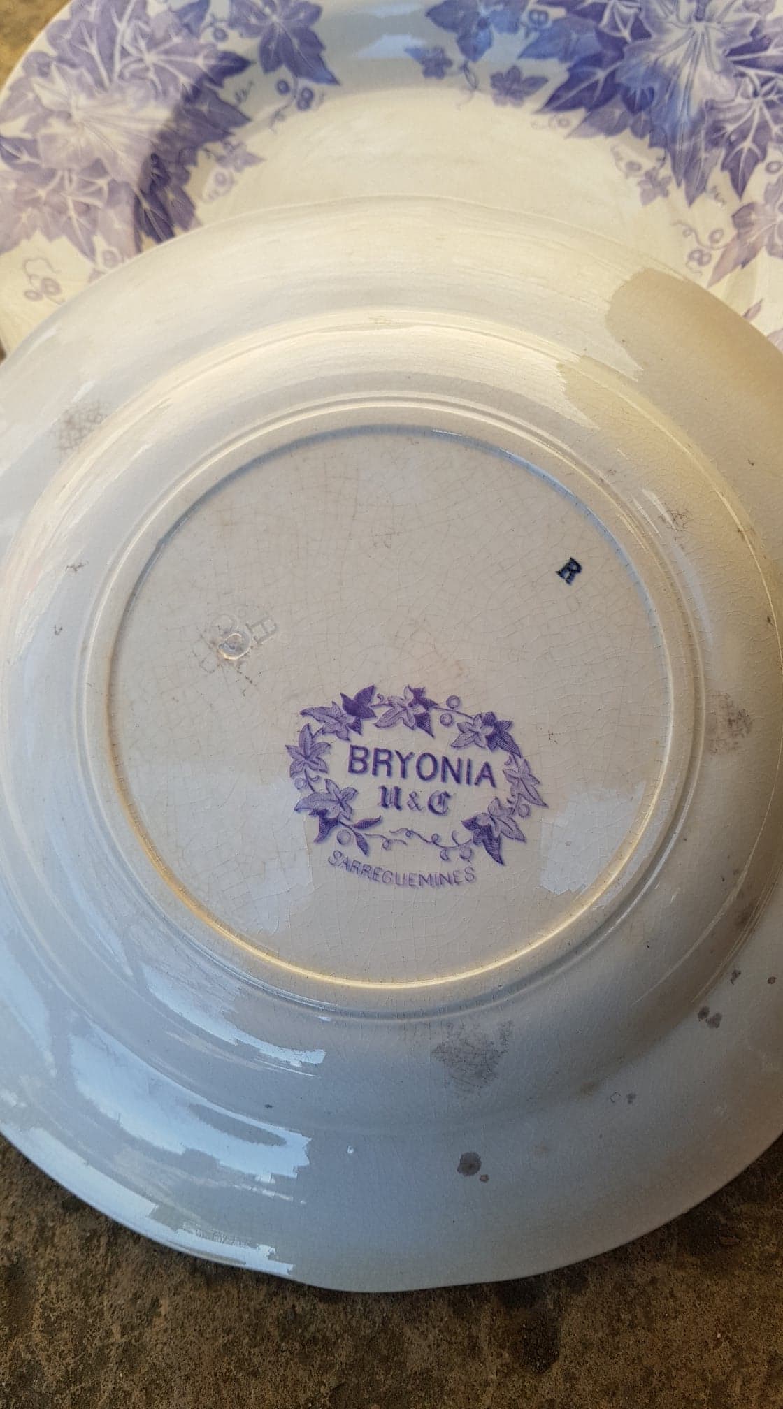 Set of 6 plates Sarreguemines model Bryonia