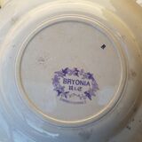 Set of 6 plates Sarreguemines model Bryonia