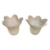 Tulips frosted glass