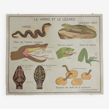 Pedagogical school map