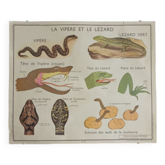 Pedagogical school map