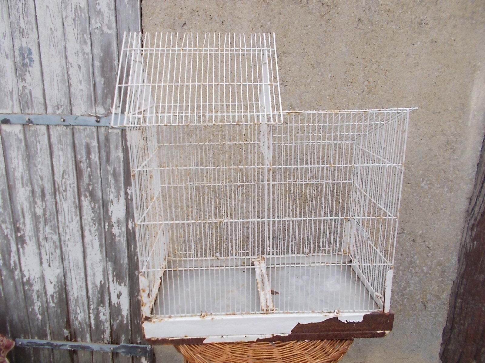 Cage d'oiseaux