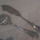 2-piece fish serving set, silver plated metal, goldsmith Ercuis LXV 29